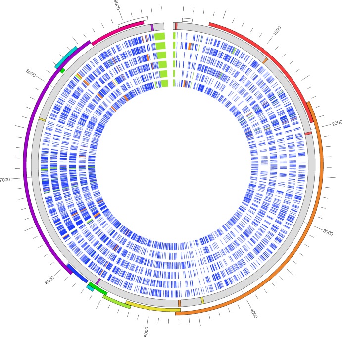 Fig 2