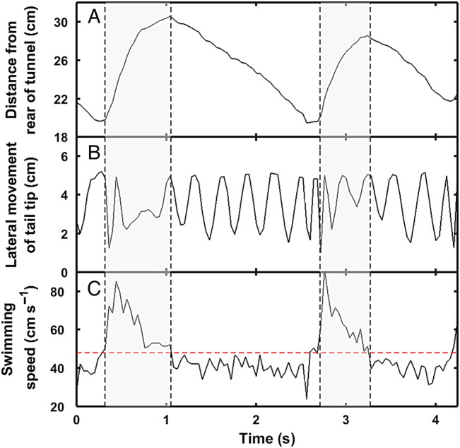 Figure 2: