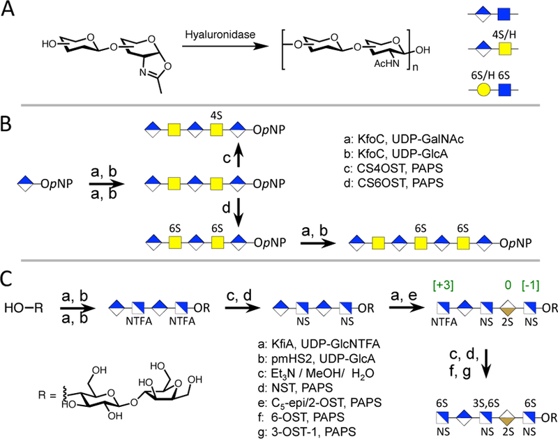 Figure 7.