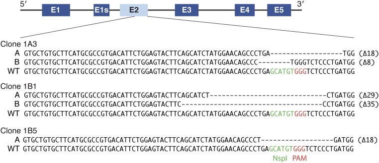 Fig. S1.