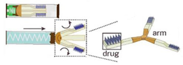 graphic file with name pharmaceutics-15-00484-i006.jpg