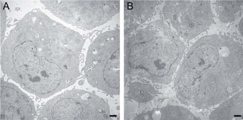 Fig. (6)