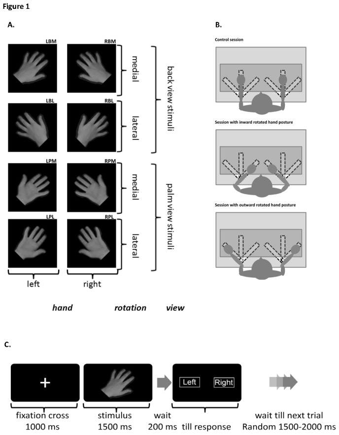 Figure 1a