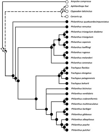 Fig. 8