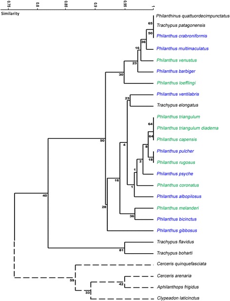 Fig. 7