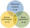 Fig 6