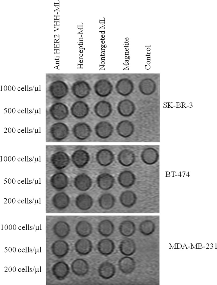 Figure 7