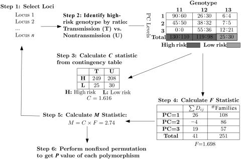 Figure  1. 