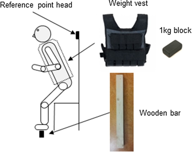 Fig. 1