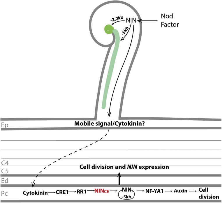 Figure 10.