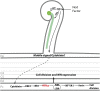 Figure 10.