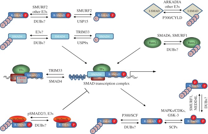 Figure 3.