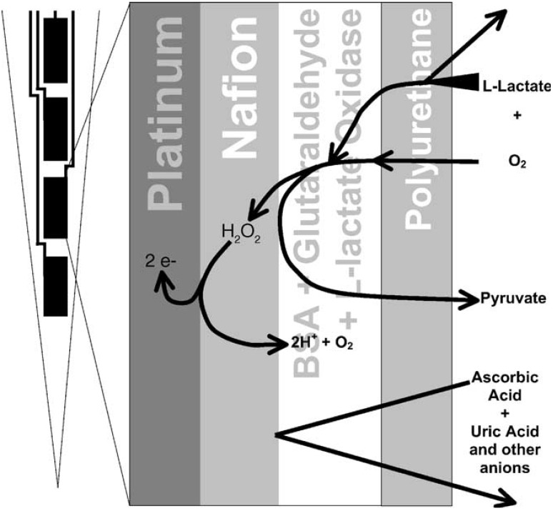 Fig. (4)