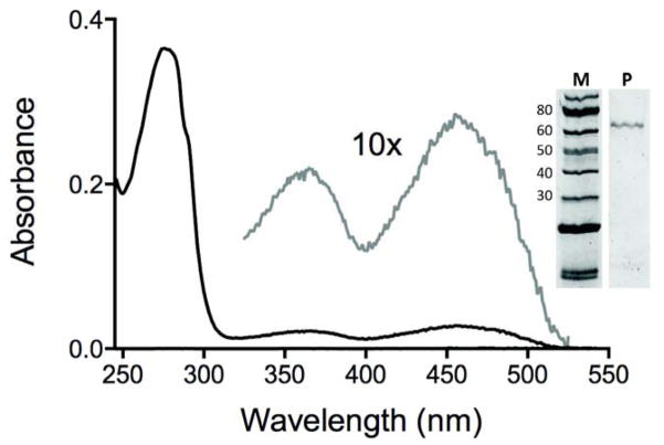 Fig. 2