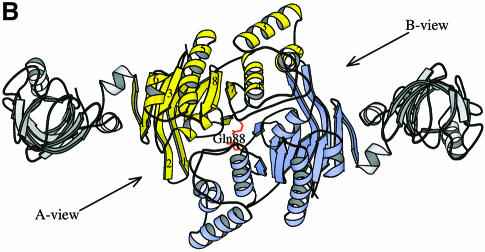 graphic file with name cdd615f1b.jpg