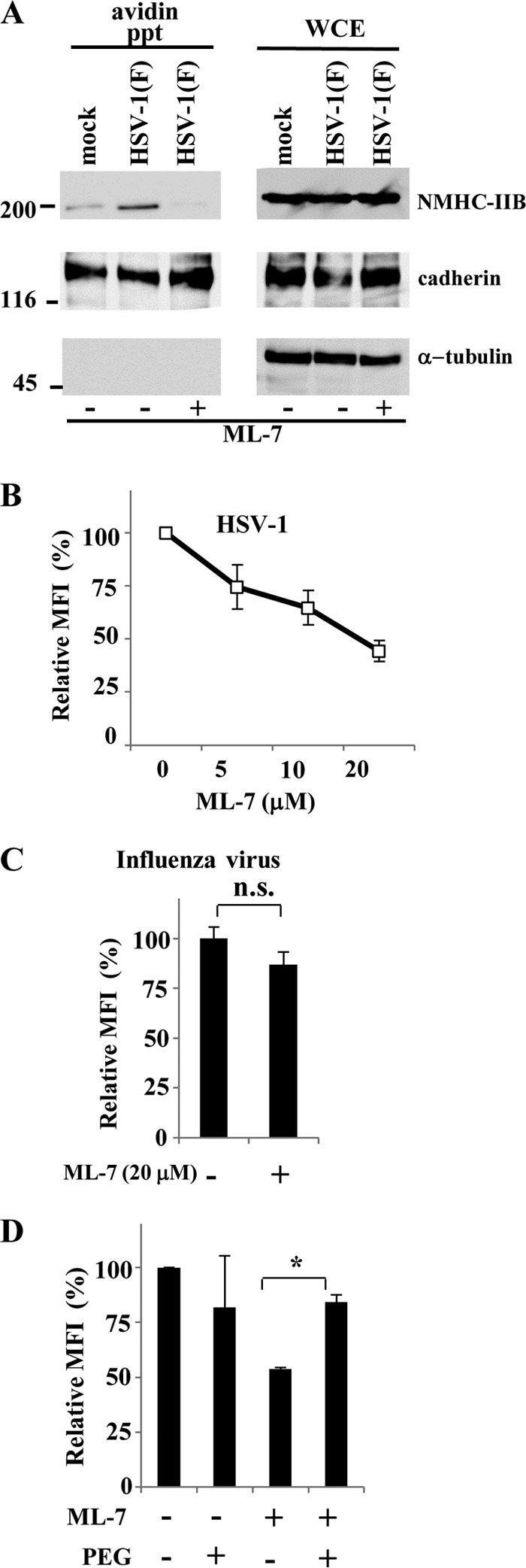 FIG 2