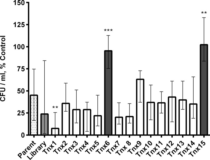 FIG 2