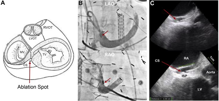 Figure 3