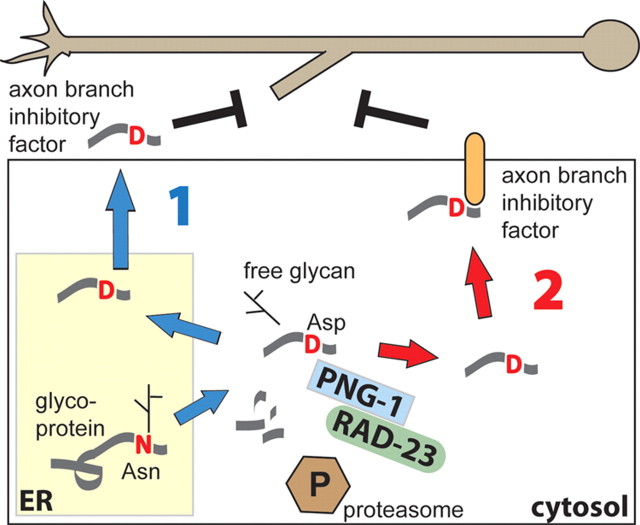 Figure 9.