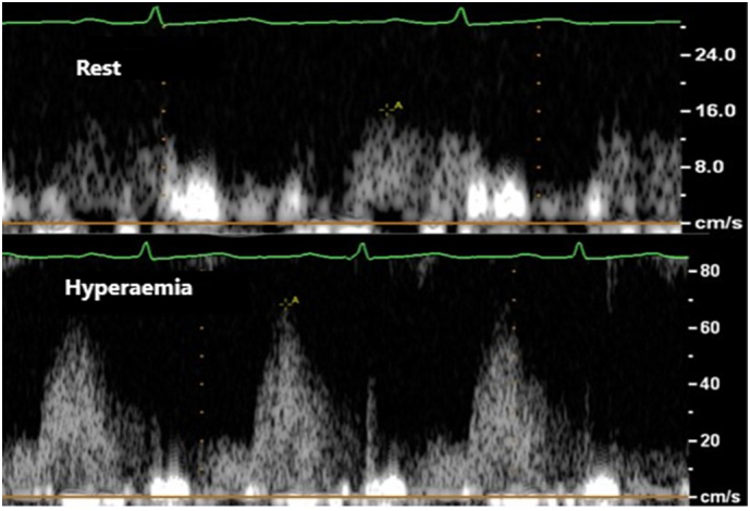 Supplementary Fig. 2