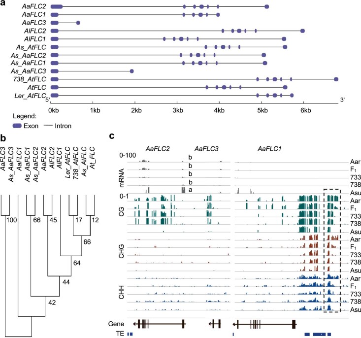 Extended Data Fig. 5