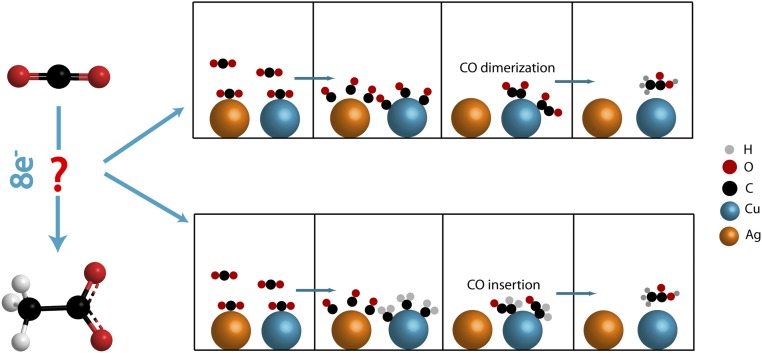 Scheme 3.