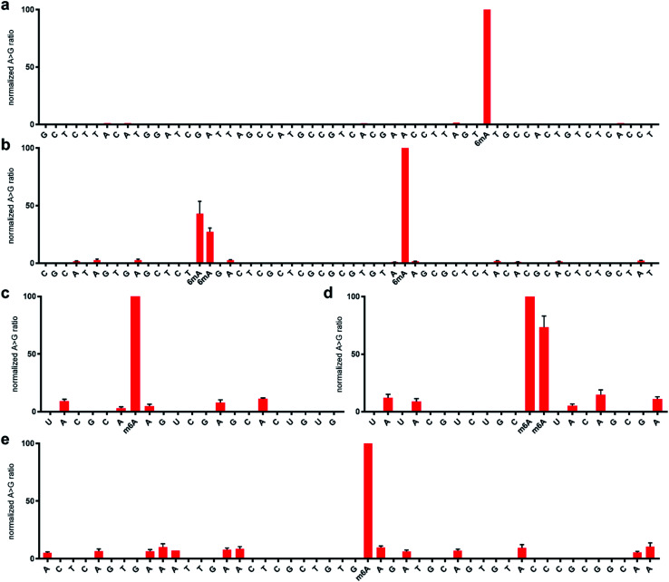 Fig. 6