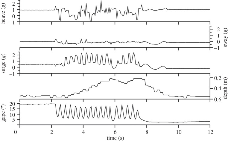 Figure 1.