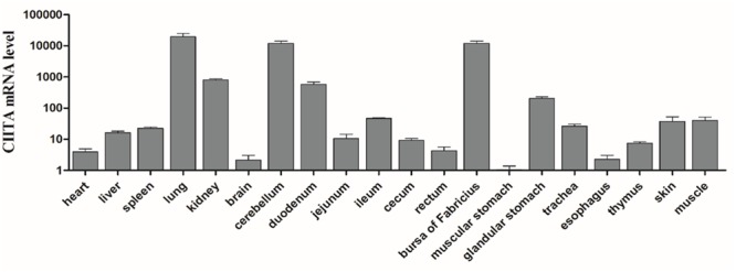 FIGURE 5