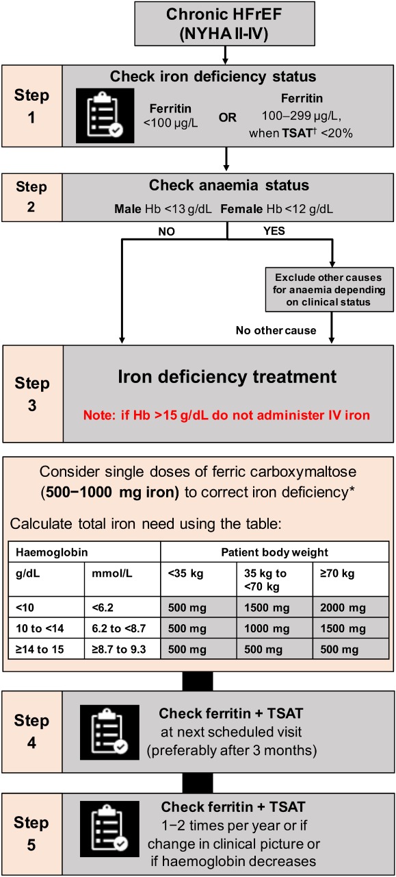 EJHF-1305-FIG-0001-c