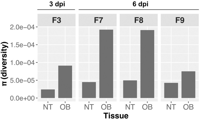 Fig 5