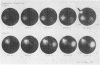 341