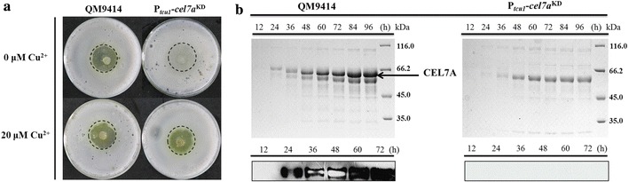 Fig. 4