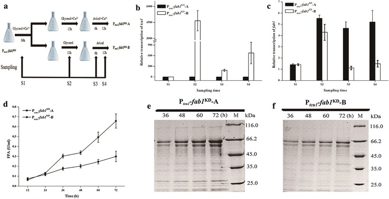 Fig. 6