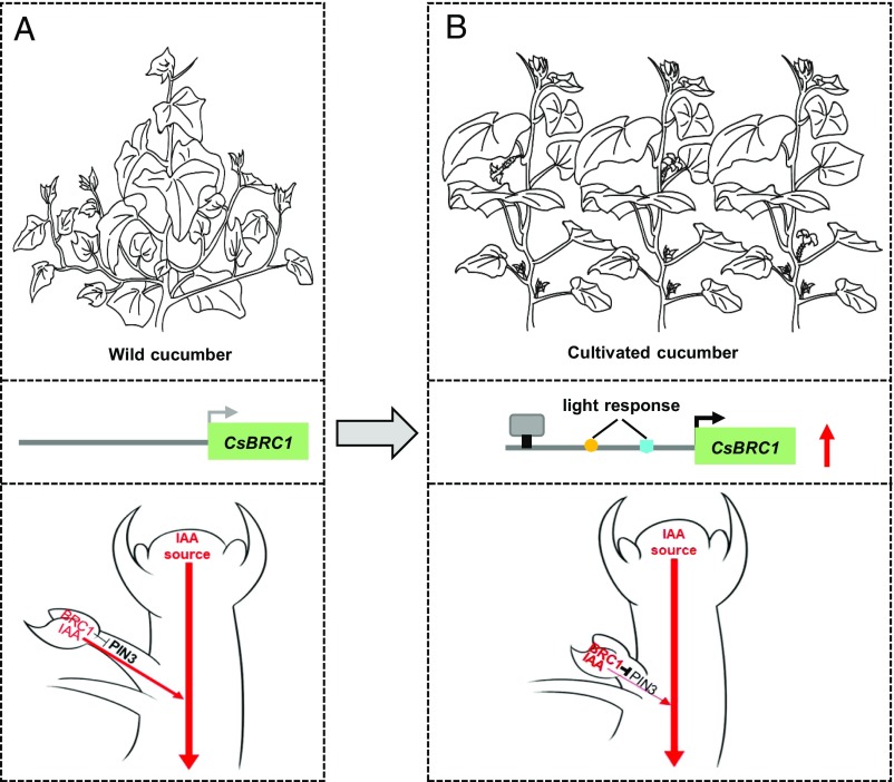 Fig. 6.