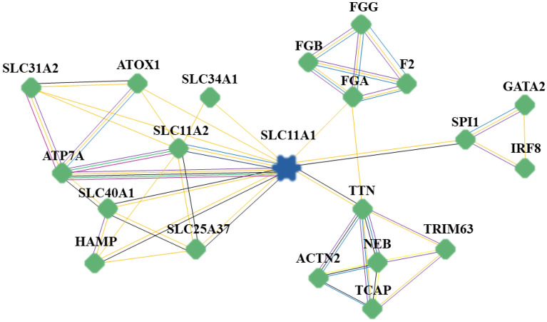 Figure 5