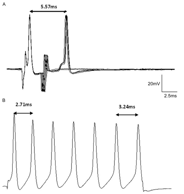 Figure 8