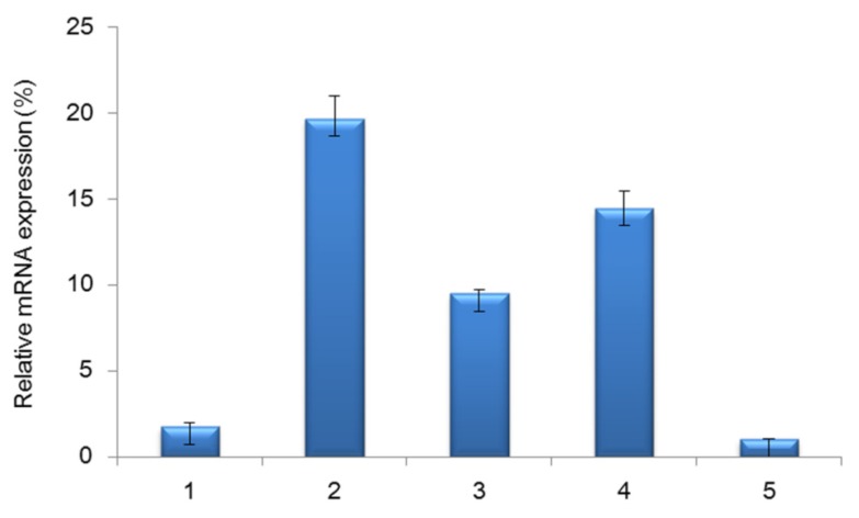 Figure 6.