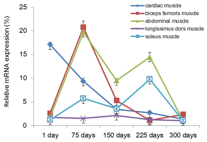 Figure 7.