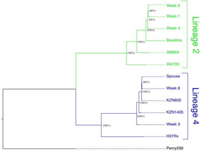 FIG 3