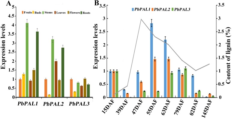 Figure 5