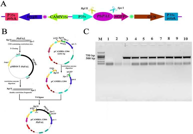 Figure 7