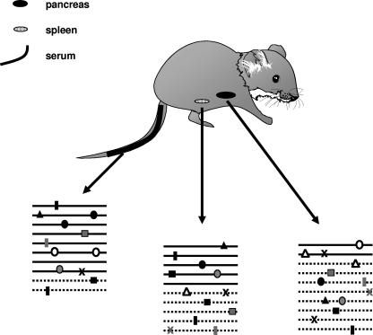 FIG. 4.