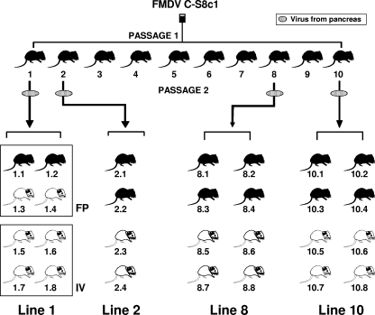 FIG. 2.