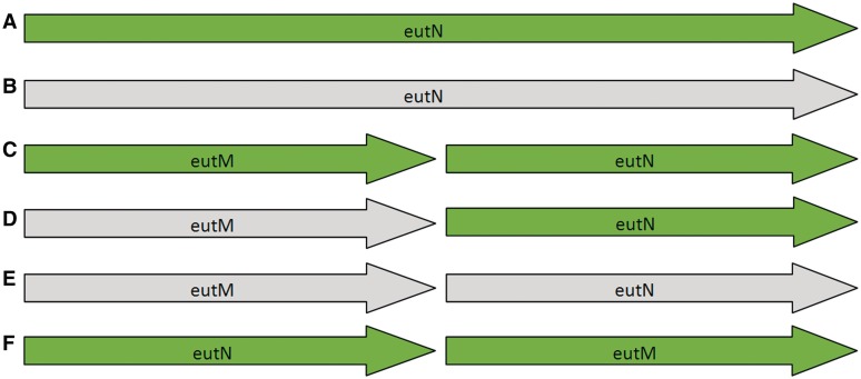 Figure 2: