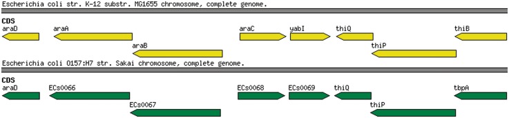 Figure 3: