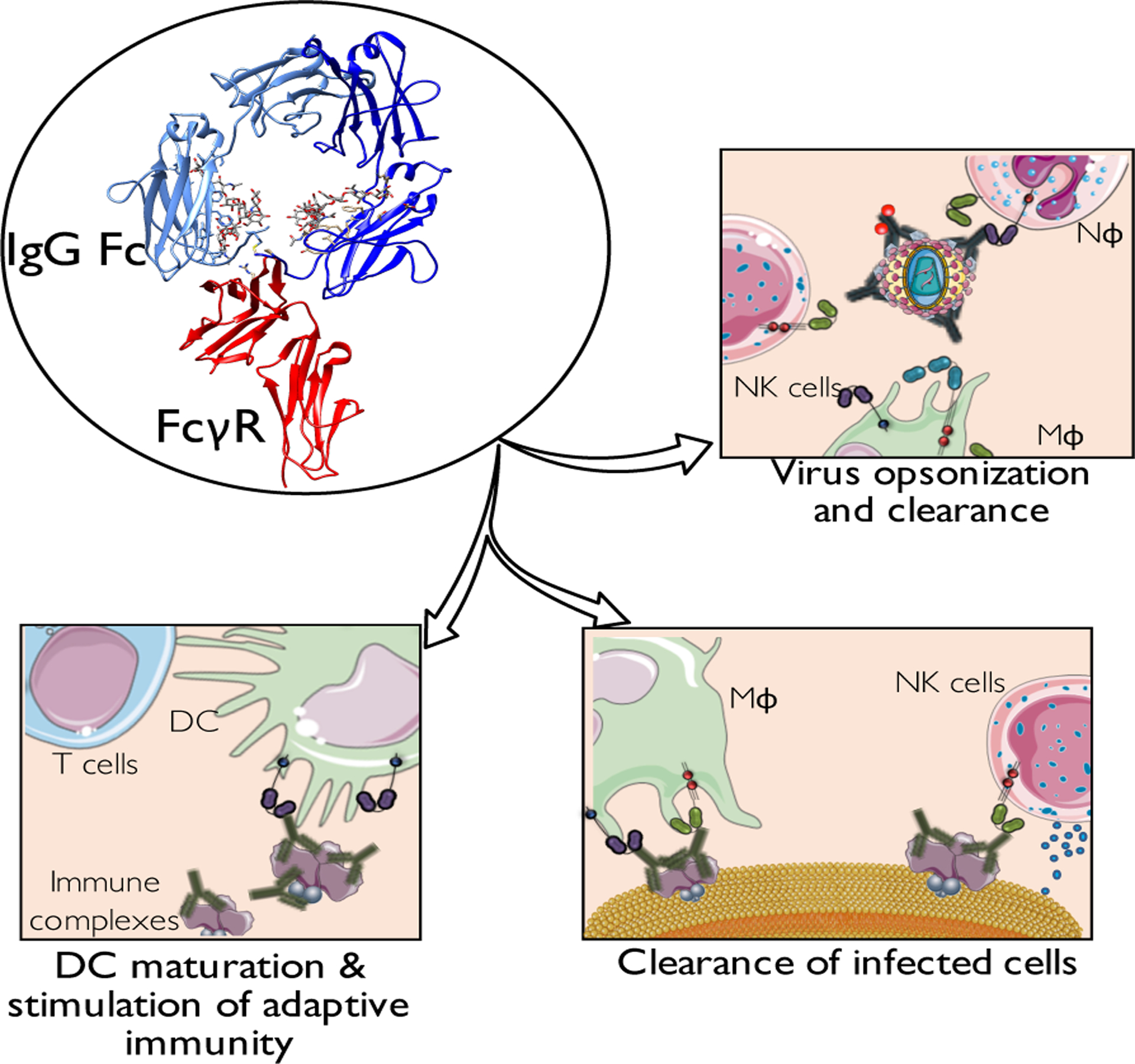 Figure 3: