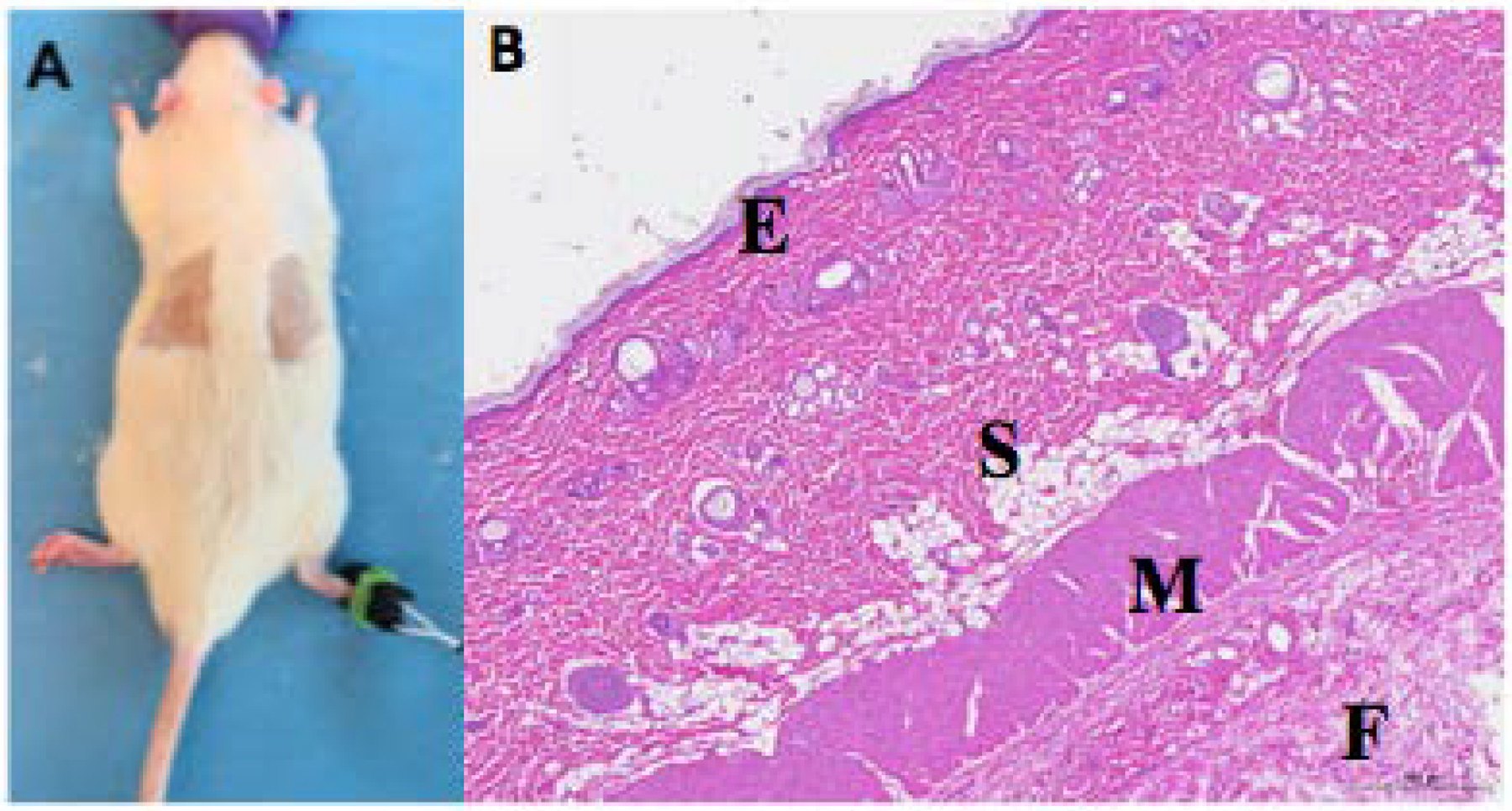 Fig. 7 -