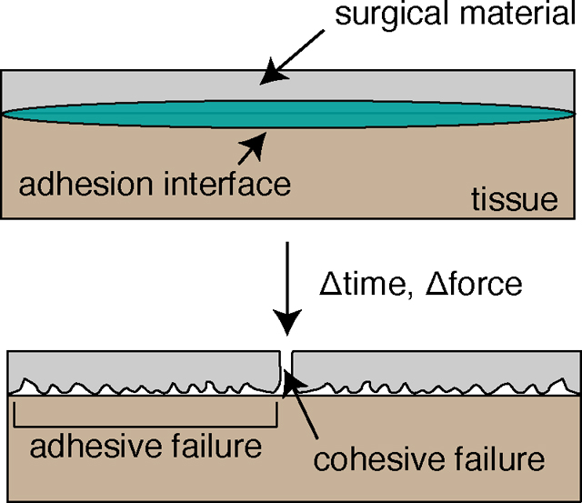 graphic file with name nihms-1888601-f0003.jpg