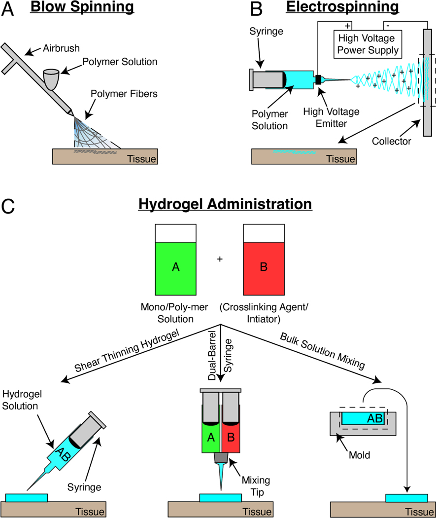 Figure 2: